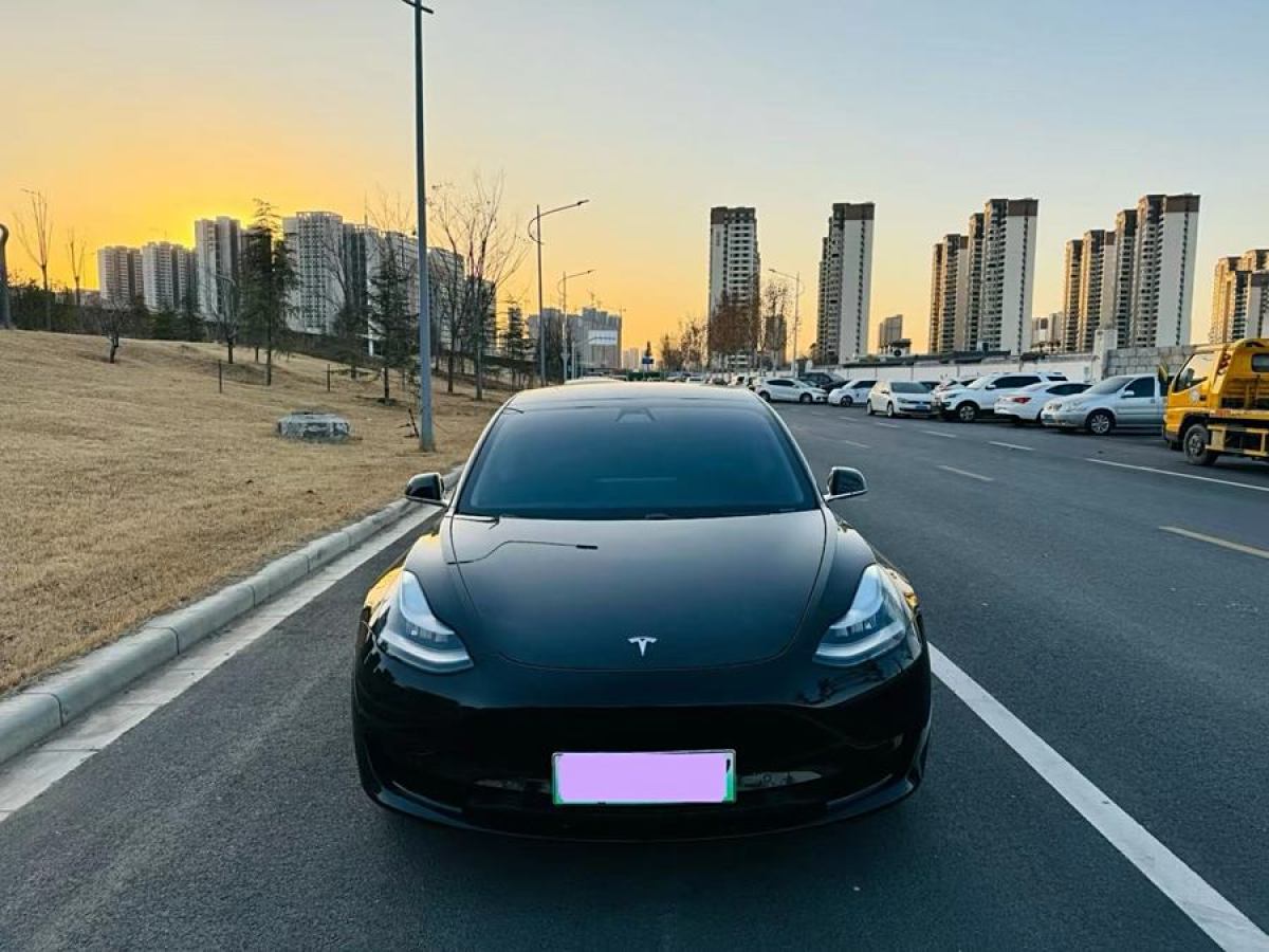 特斯拉 Model 3  2020款 改款 標(biāo)準(zhǔn)續(xù)航后驅(qū)升級版圖片