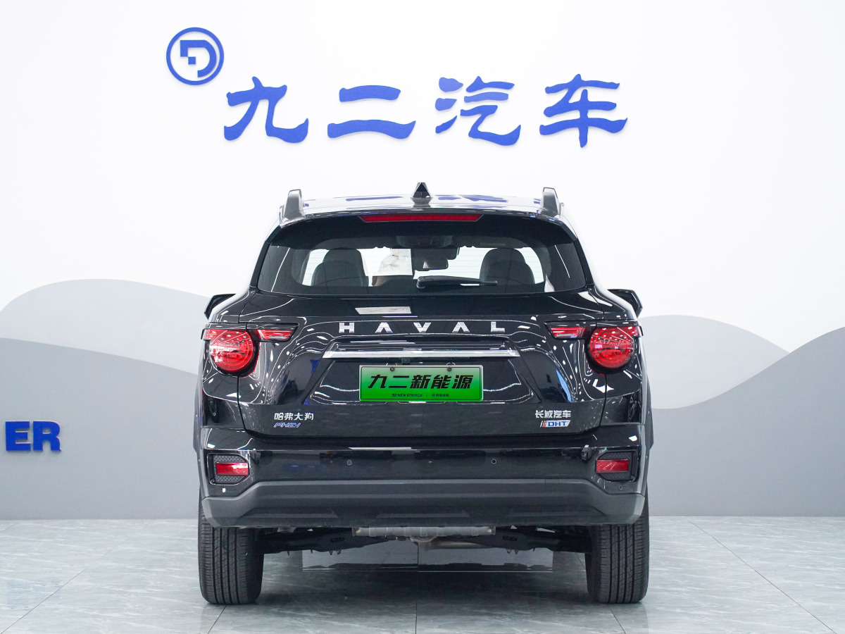 哈弗 哈弗二代大狗新能源  2023款 DHT-PHEV 105km 潮電版Plus圖片