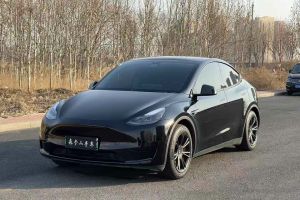 Model 3 特斯拉 Performance高性能全輪驅(qū)動版