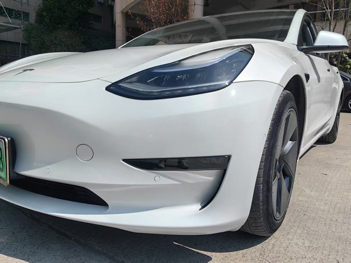 特斯拉 Model 3  2019款 長續(xù)航全輪驅(qū)動版圖片