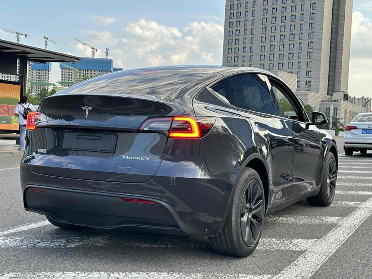 特斯拉 Model 3  2020款 改款 長續(xù)航后輪驅(qū)動版圖片