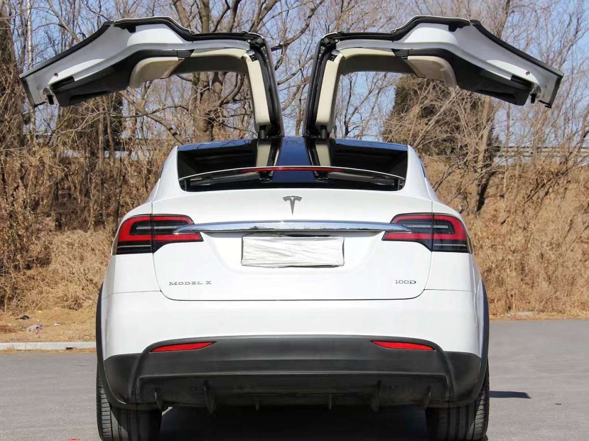 特斯拉 Model X  2017款 Model X 100D 長續(xù)航版圖片