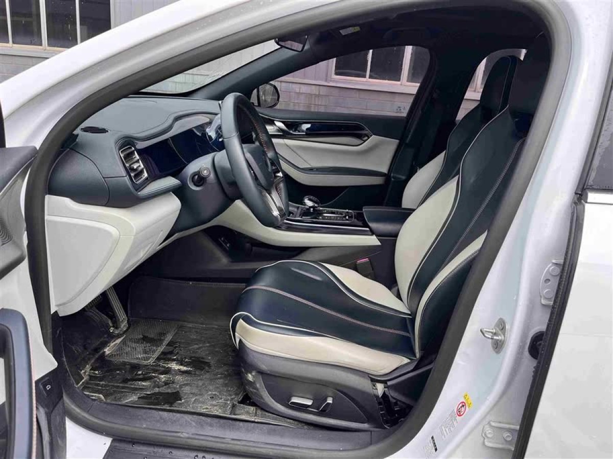 比亞迪 秦PLUS  2021款 EV 500KM 豪華型圖片