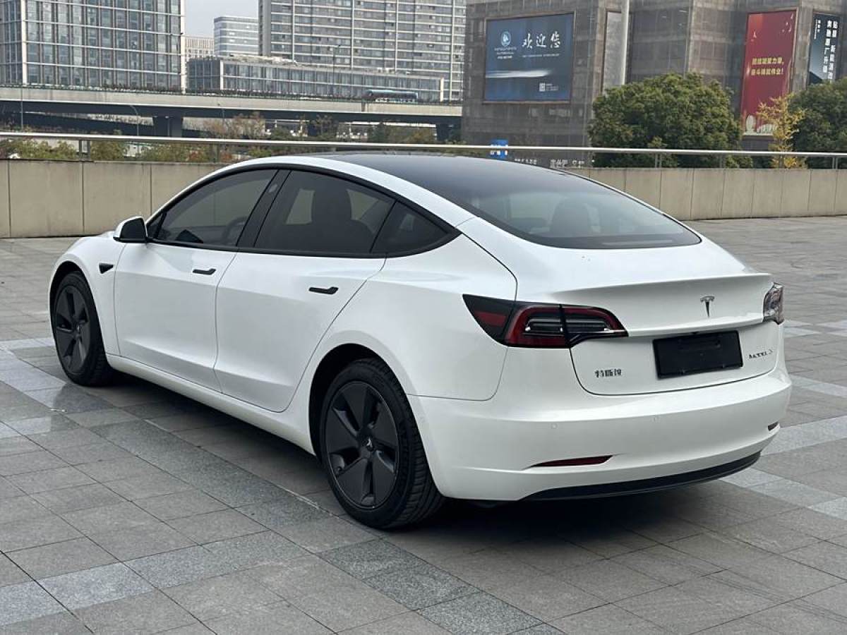 特斯拉 Model 3  2021款 改款 標(biāo)準(zhǔn)續(xù)航后驅(qū)升級(jí)版圖片