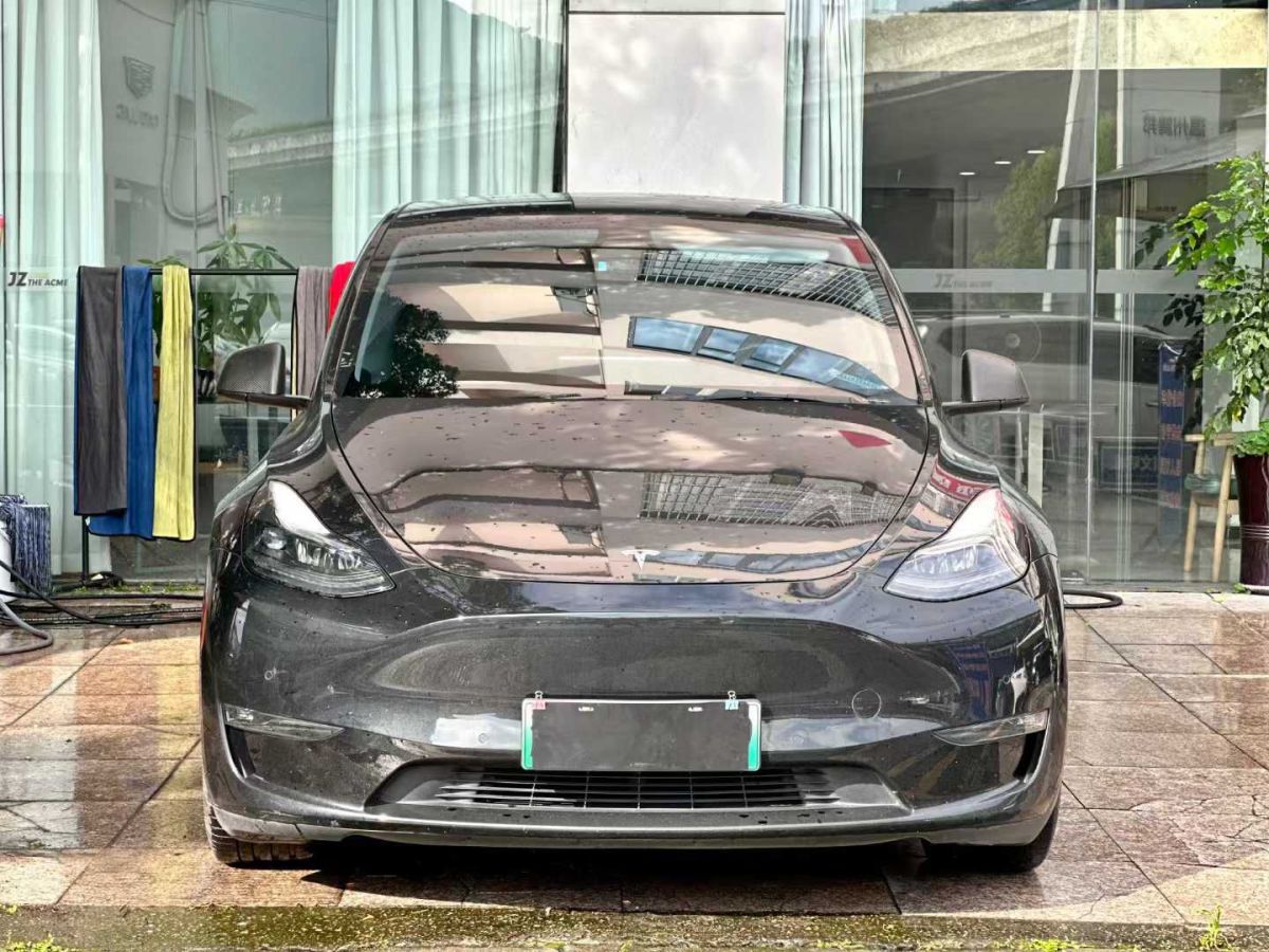特斯拉 Model Y  2022款 Performance高性能全輪驅(qū)動版圖片