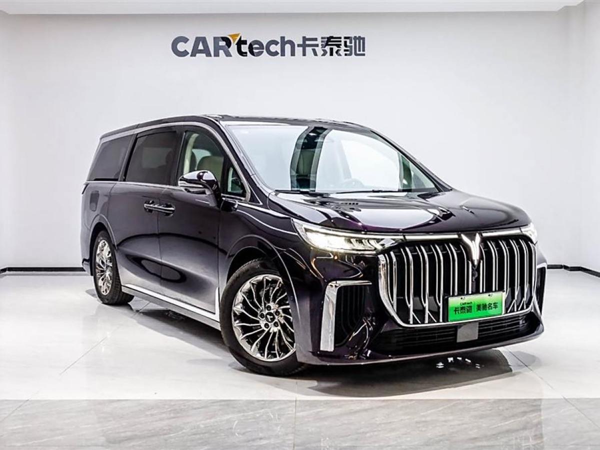 嵐圖 夢想家  2024款 PHEV 超長續(xù)航旗艦版圖片