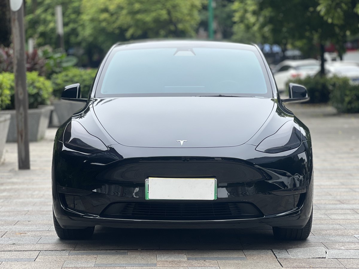 特斯拉 Model Y  2022款 Performance高性能全輪驅(qū)動版圖片