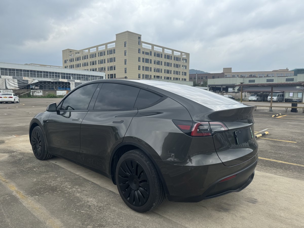 特斯拉 Model Y  2021款 改款 Performance高性能全輪驅(qū)動版圖片