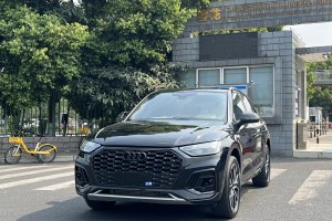 奧迪Q5L 奧迪 45 TFSI 豪華動感型