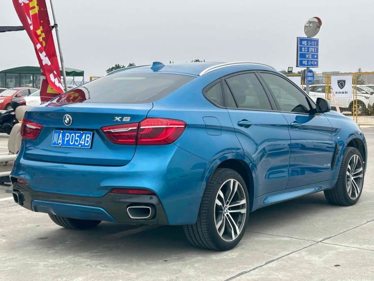 寶馬 寶馬X6  2018款 xDrive35i 領先型圖片