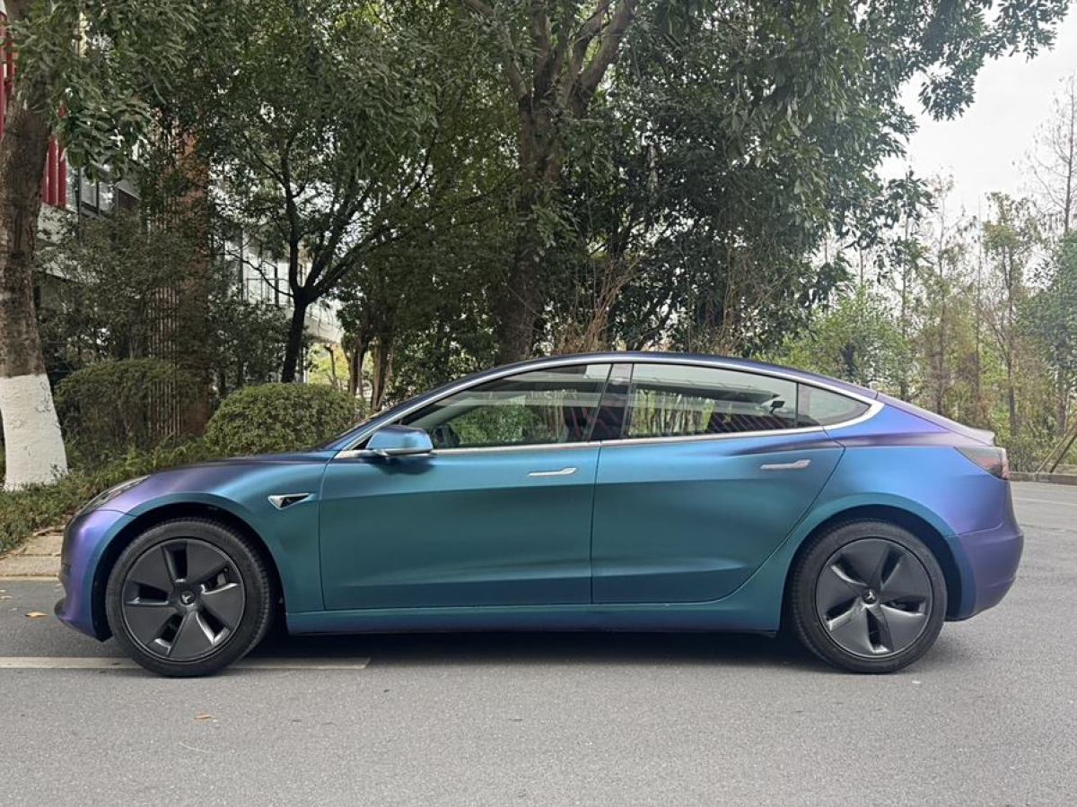 2020年9月特斯拉 Model 3  2020款 改款 標(biāo)準(zhǔn)續(xù)航后驅(qū)升級(jí)版