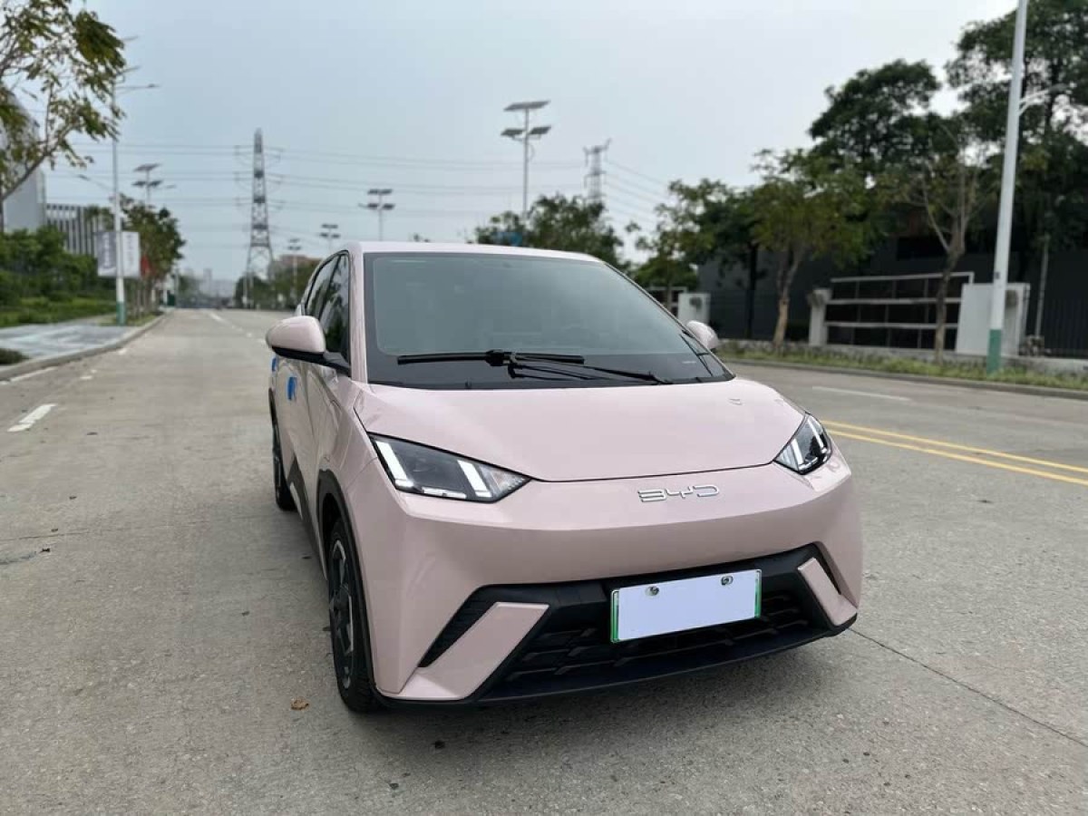 比亞迪 海鷗  2023款 飛翔版圖片