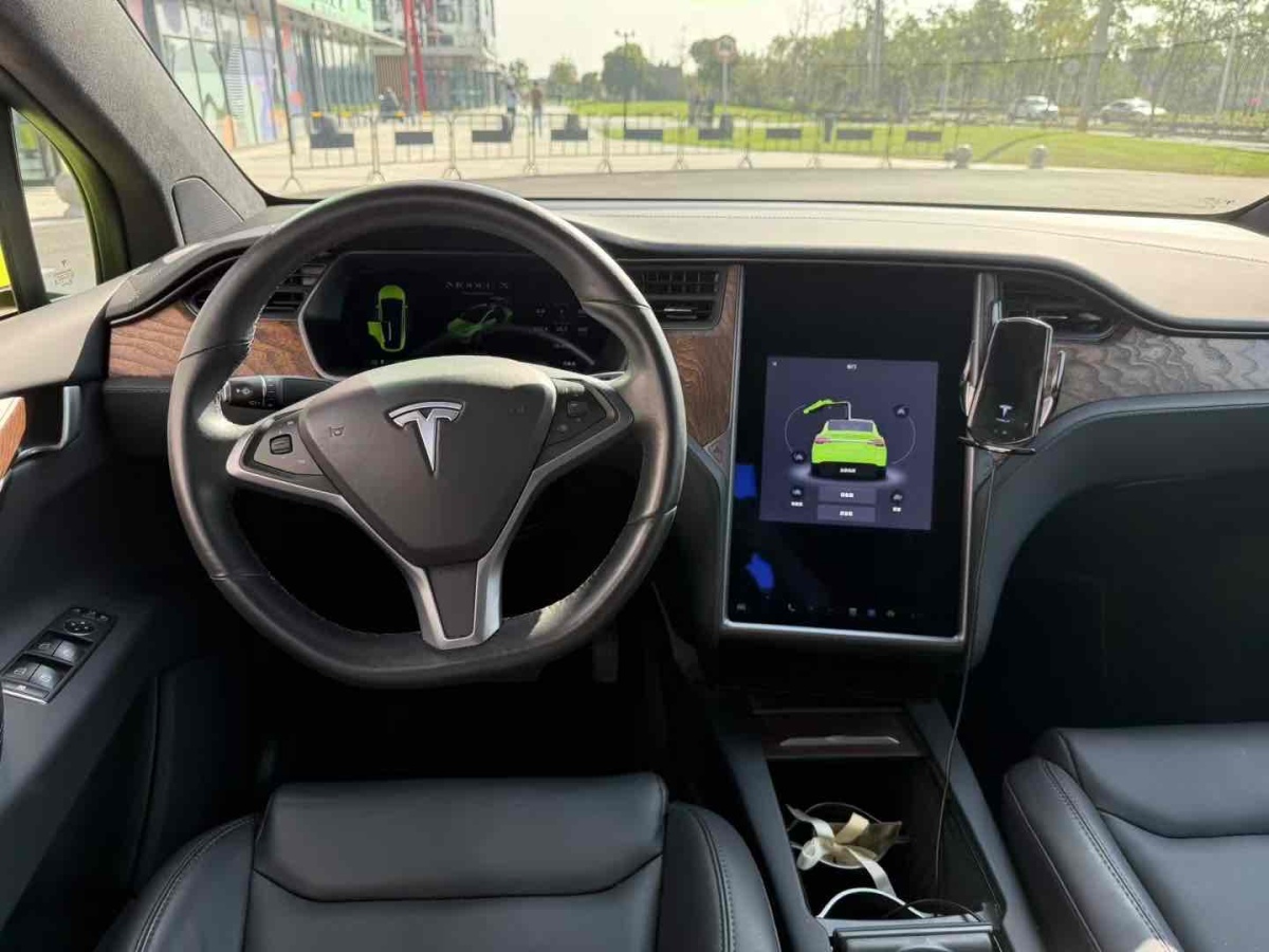 特斯拉 Model X  2019款 長(zhǎng)續(xù)航版圖片