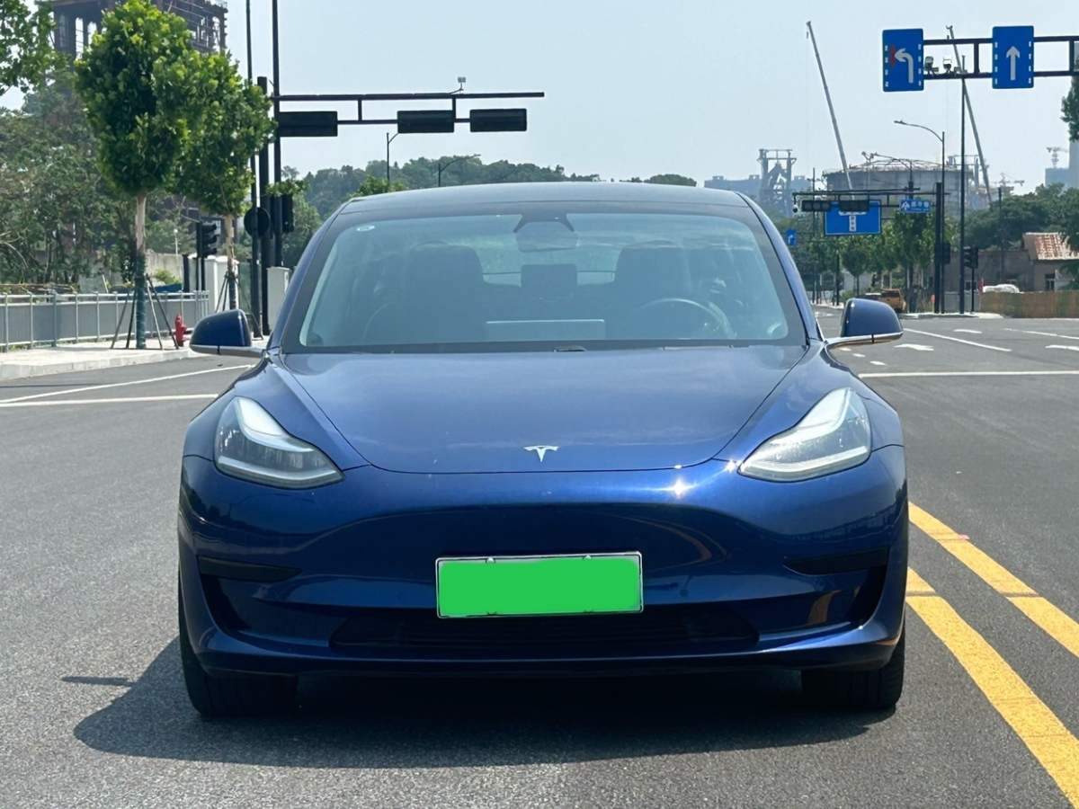 特斯拉 Model 3  2020款 標(biāo)準(zhǔn)續(xù)航后驅(qū)升級(jí)版圖片