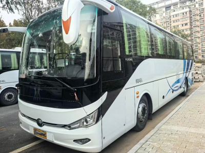  同款多臺(tái)國六48座有公告原版原漆宇通C11旅游車 圖片