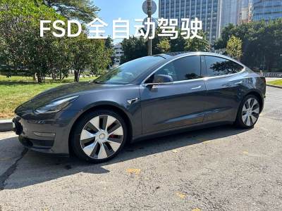 2019年3月 特斯拉 Model 3 Performance高性能全輪驅(qū)動(dòng)版圖片