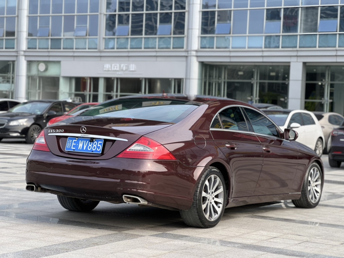 奔馳 奔馳CLS級(jí)  2009款 CLS 300圖片