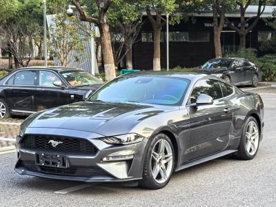 2019年11月 福特 Mustang(進(jìn)口) 2.3L EcoBoost 性能加強版圖片