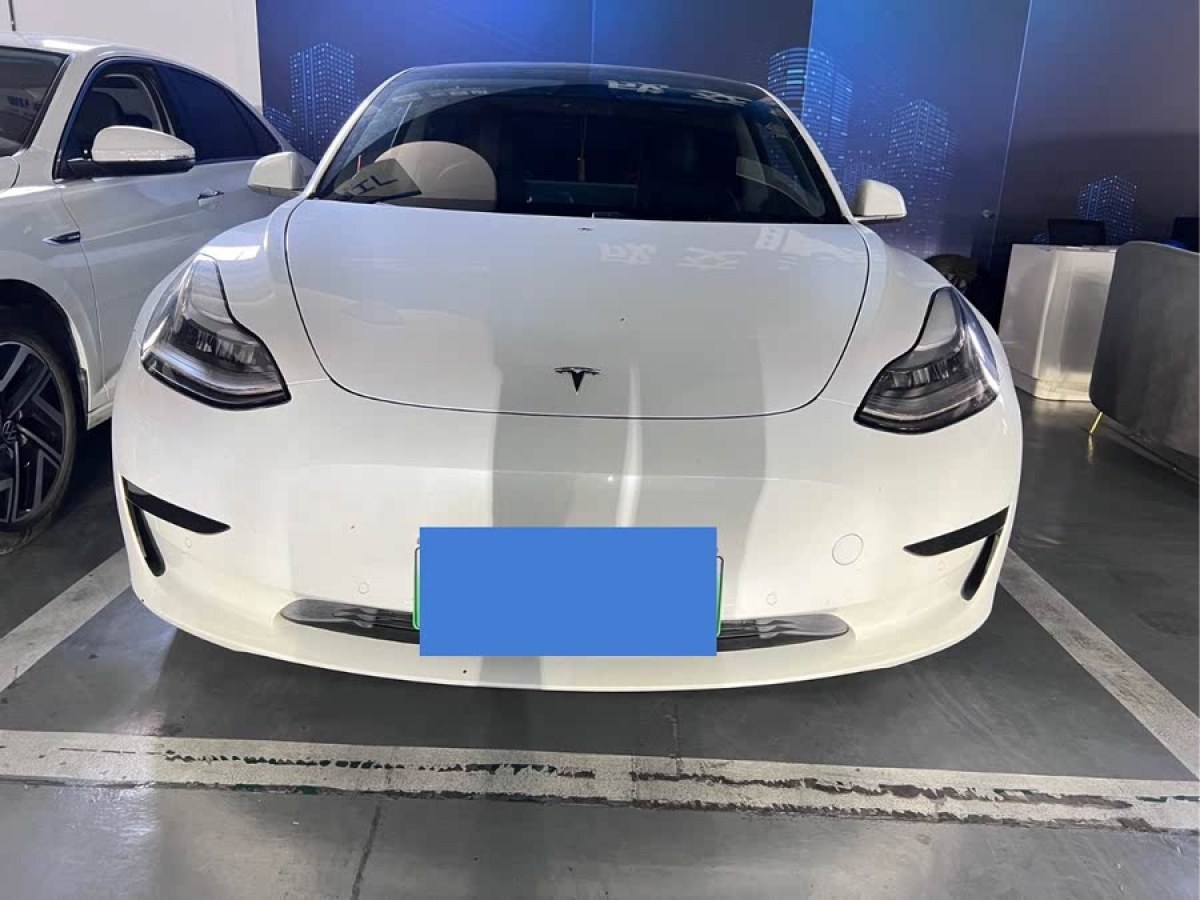 特斯拉 Model 3  2020款 改款 標(biāo)準(zhǔn)續(xù)航后驅(qū)升級(jí)版圖片