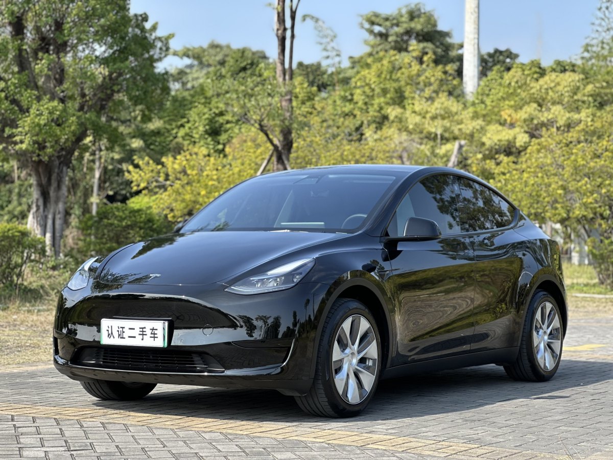 特斯拉 Model 3  2020款 改款 長續(xù)航后輪驅(qū)動版圖片