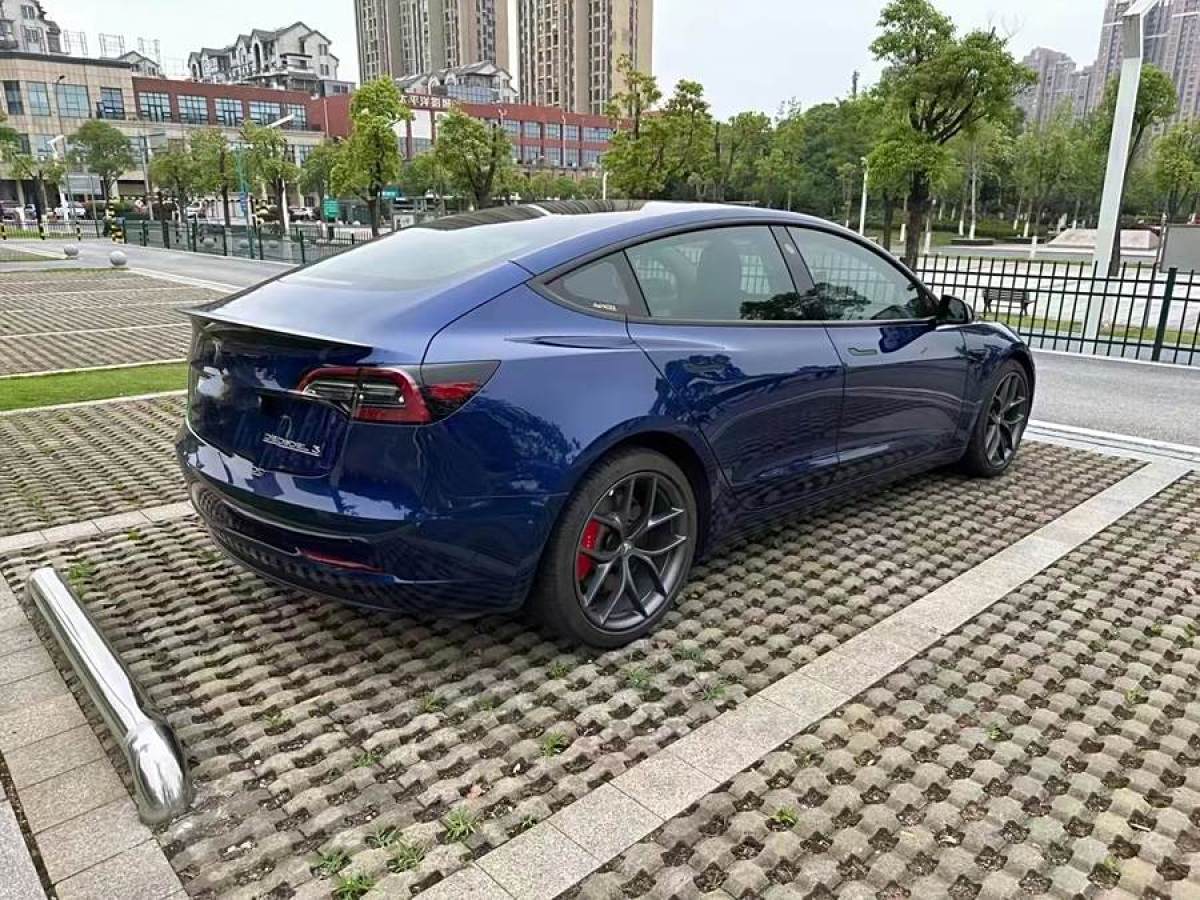 特斯拉 Model 3  2019款 Performance高性能全輪驅(qū)動版圖片