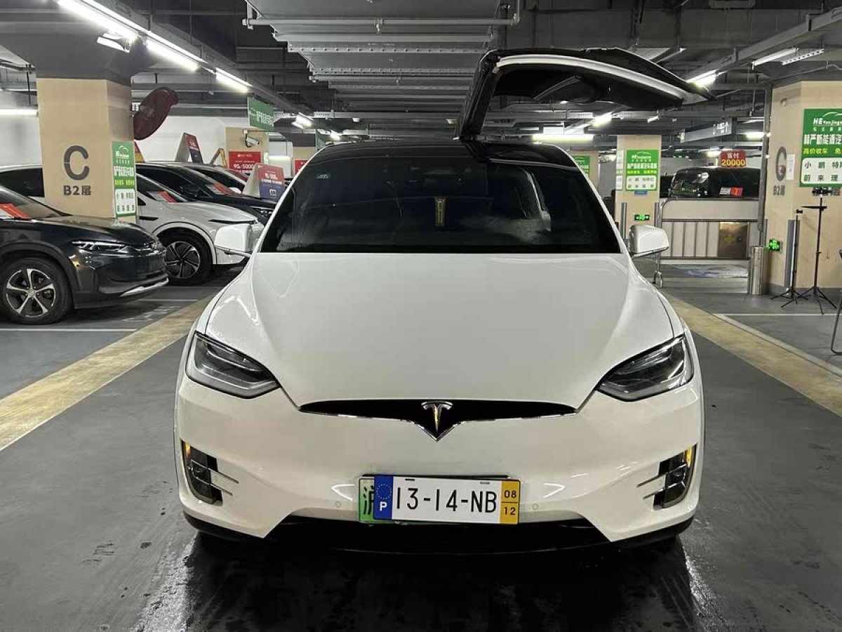 特斯拉 Model X  2017款 Model X 100D 長續(xù)航版圖片