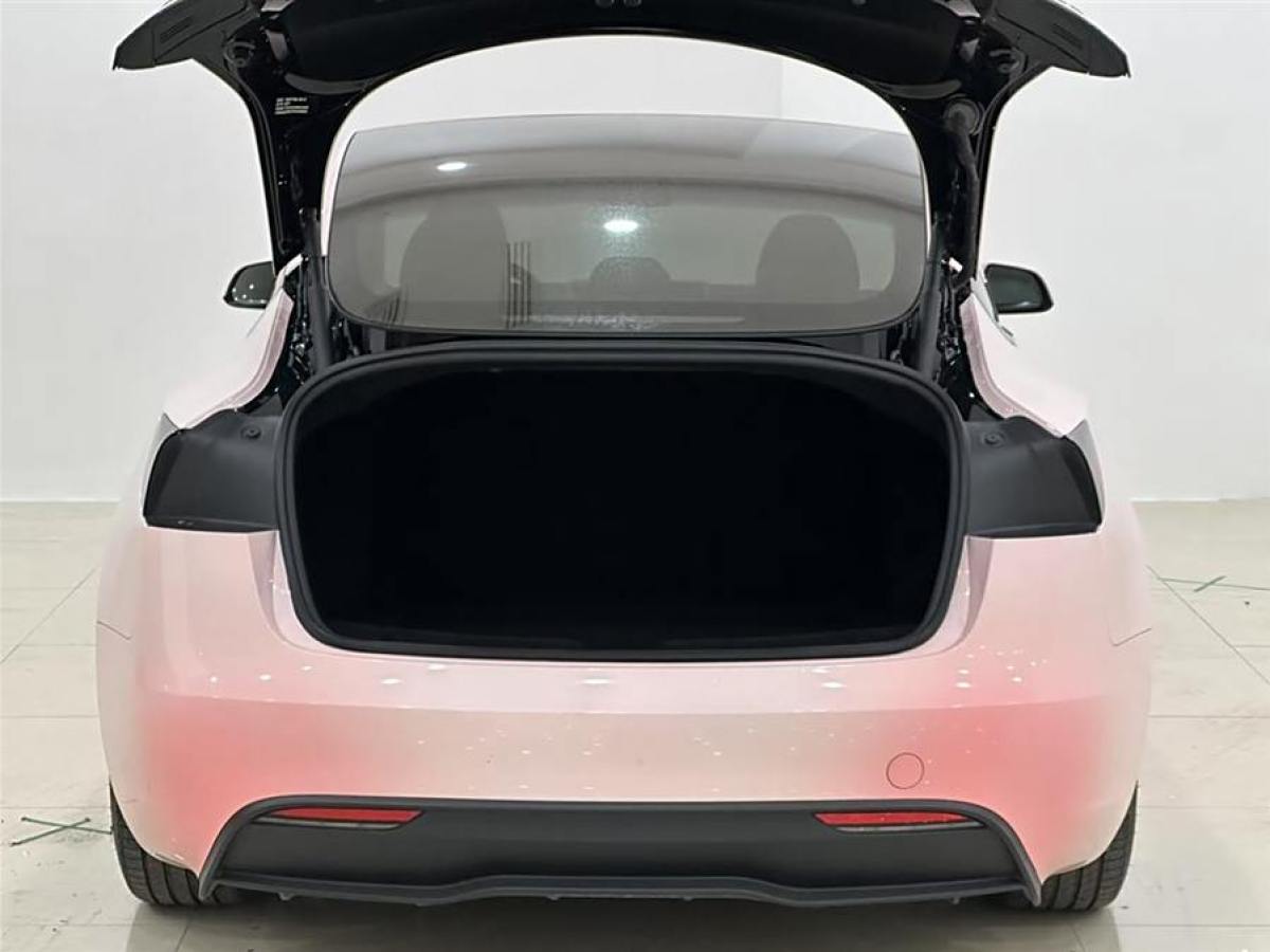 特斯拉 Model Y  2023款 長續(xù)航全輪驅(qū)動版圖片