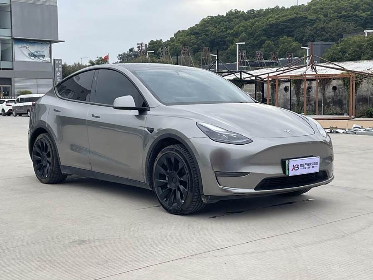 特斯拉 Model Y  2024款 長(zhǎng)續(xù)航全輪驅(qū)動(dòng)版圖片