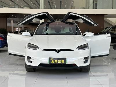 2017年11月 特斯拉 Model X Model X 100D 長(zhǎng)續(xù)航版圖片