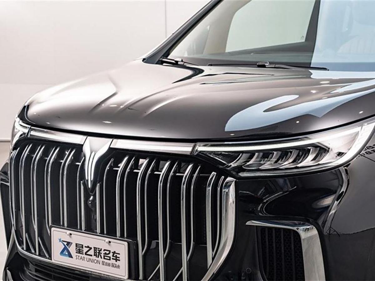 嵐圖 夢想家  2024款 PHEV 超長續(xù)航旗艦版圖片