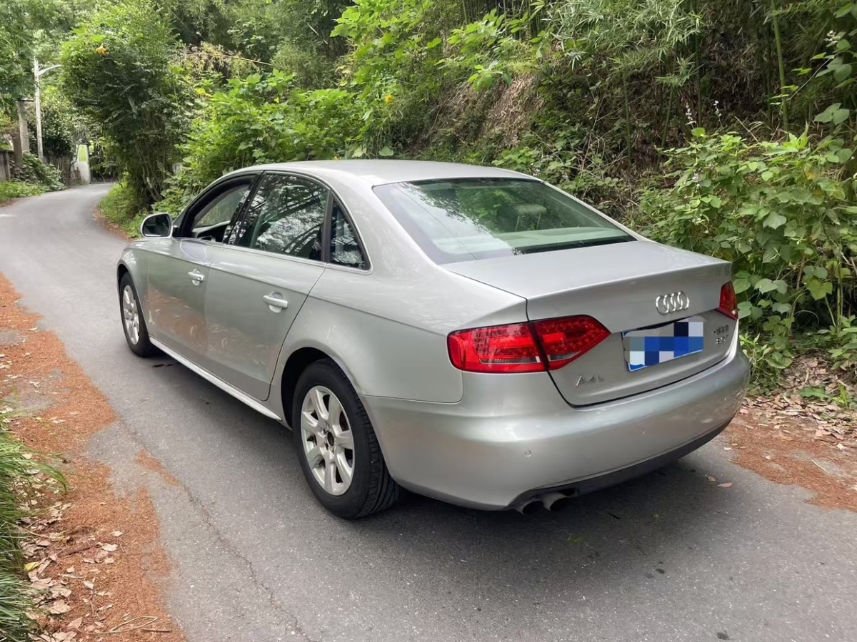 奧迪 奧迪A4L  2010款 2.0 TFSI 運動型圖片