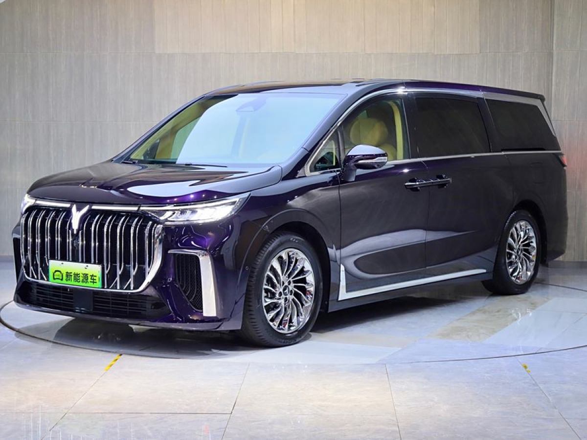 嵐圖 夢(mèng)想家  2024款 PHEV 超長(zhǎng)續(xù)航旗艦版圖片