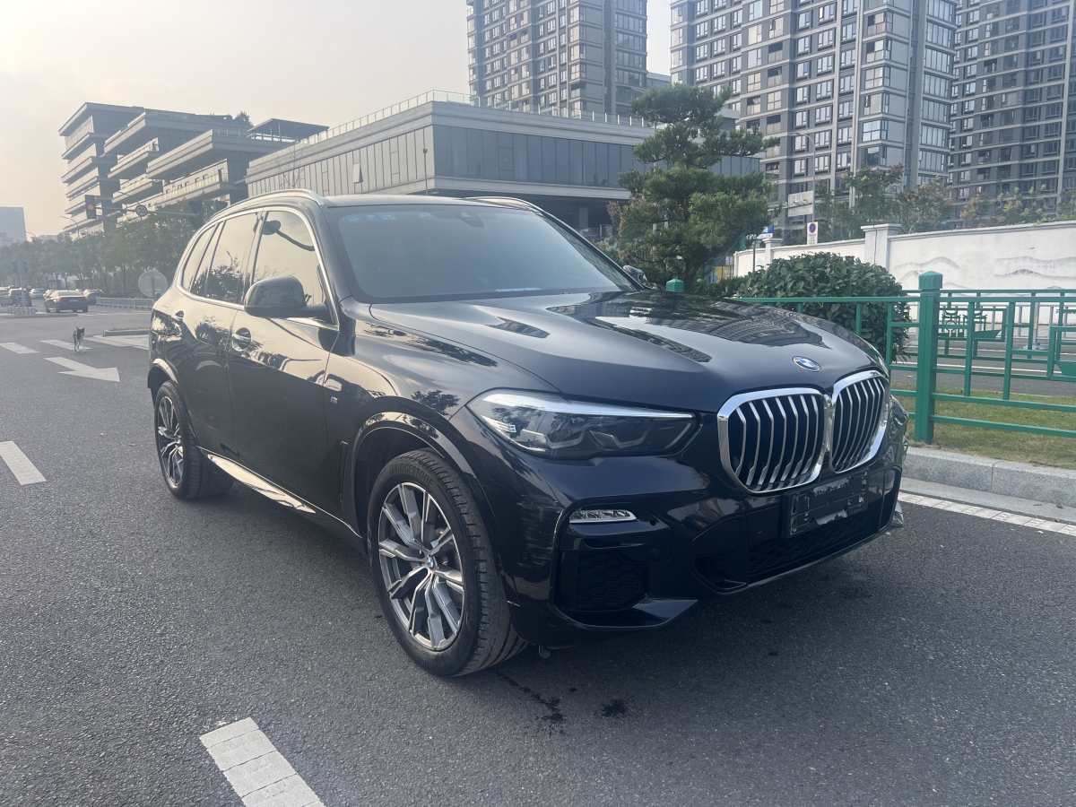 寶馬 寶馬X5  2020款 xDrive30i M運(yùn)動(dòng)套裝圖片