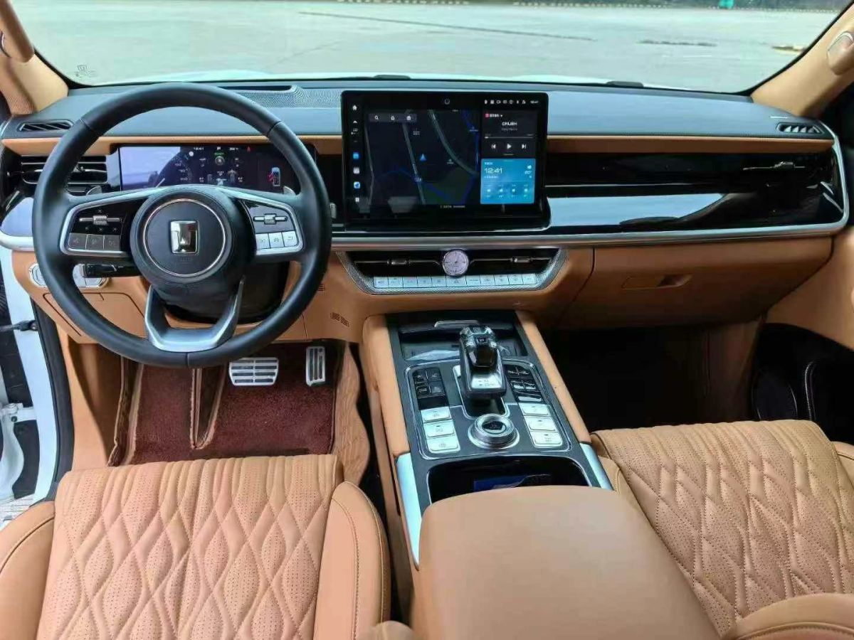 坦克 坦克500  2023款 3.0T 特別定制版 5座圖片