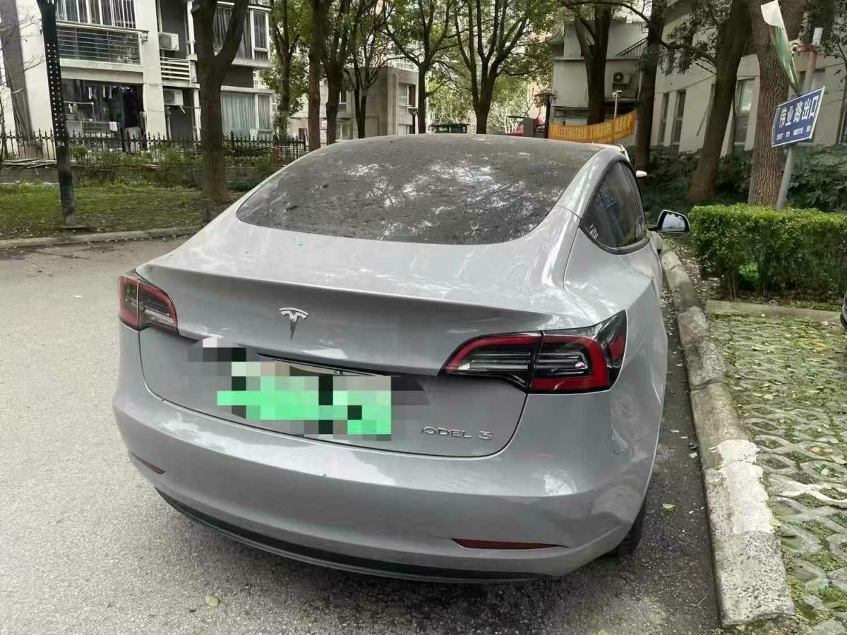 2022年1月特斯拉 Model 3  2022款 Performance高性能全輪驅(qū)動版