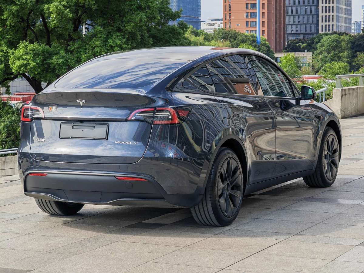 特斯拉 Model Y  2022款 后輪驅(qū)動(dòng)版圖片