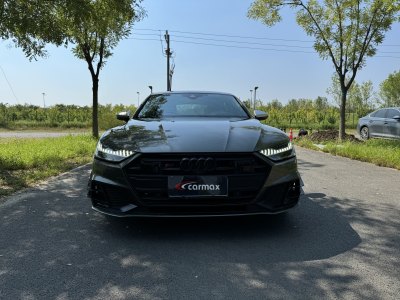 2019年6月 奧迪 奧迪A7(進(jìn)口) 55 TFSI quattro 動感型圖片