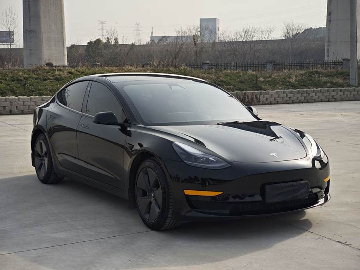 特斯拉 Model 3  2021款 改款 標(biāo)準(zhǔn)續(xù)航后驅(qū)升級(jí)版圖片