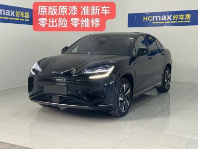 2024年8月 比亞迪 海獅07 EV 610長(zhǎng)續(xù)航版圖片