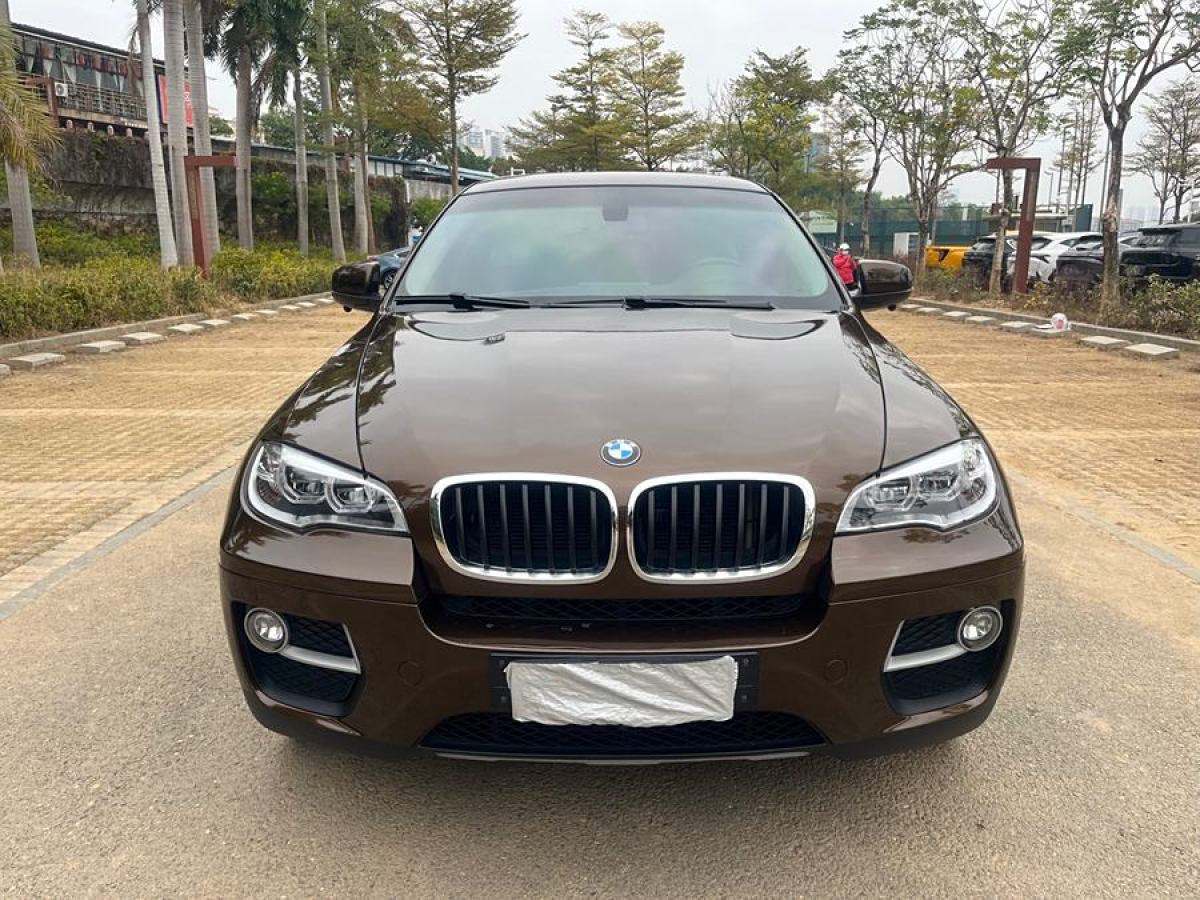 寶馬 寶馬X6  2014款 xDrive35i 運(yùn)動(dòng)型圖片