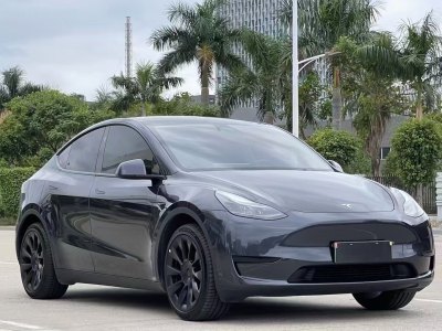 2024年6月 特斯拉 Model Y 改款 長(zhǎng)續(xù)航后輪驅(qū)動(dòng)版圖片