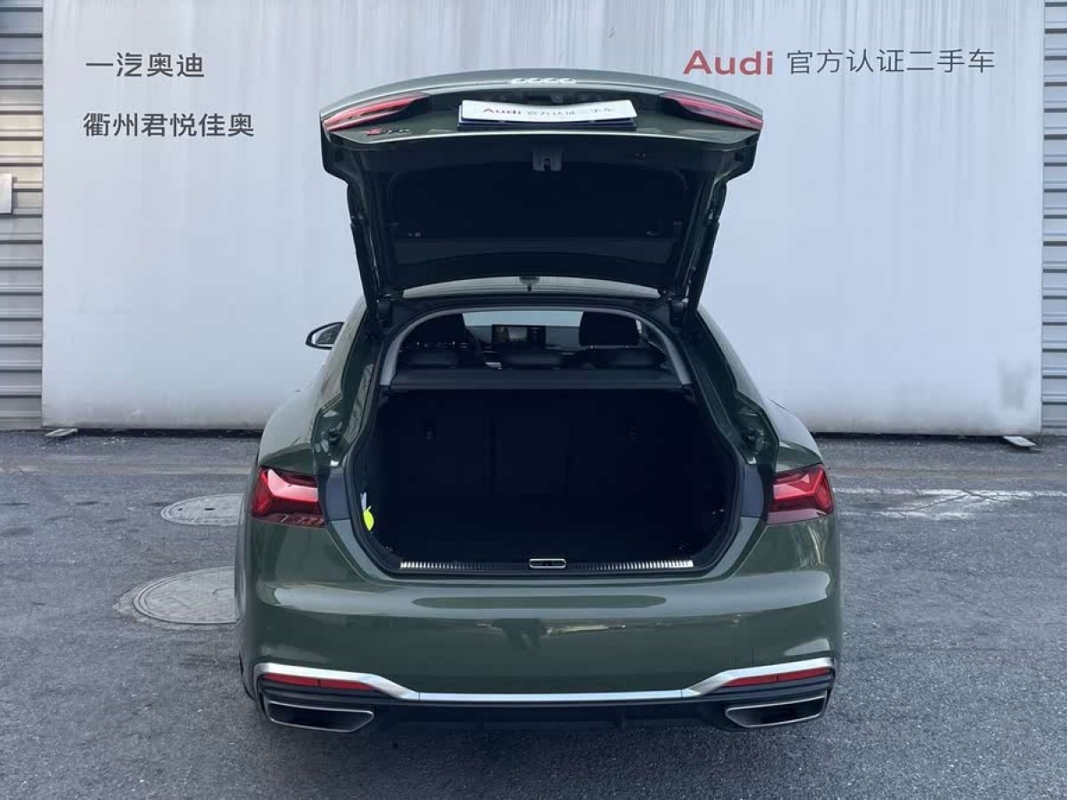 奧迪 奧迪A5  2023款 Sportback 40 TFSI quattro 豪華動感型圖片