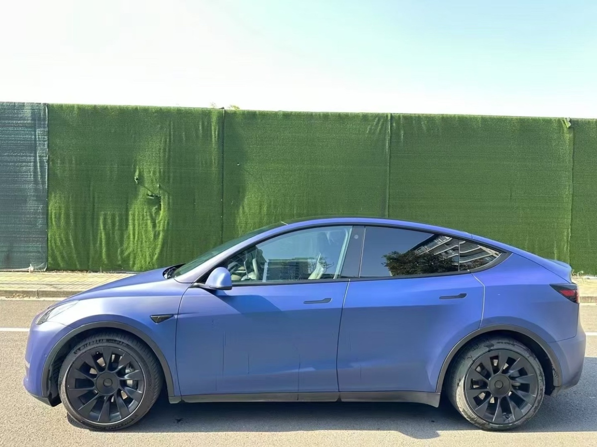 特斯拉 Model Y  2021款 長(zhǎng)續(xù)航全輪驅(qū)動(dòng)版圖片