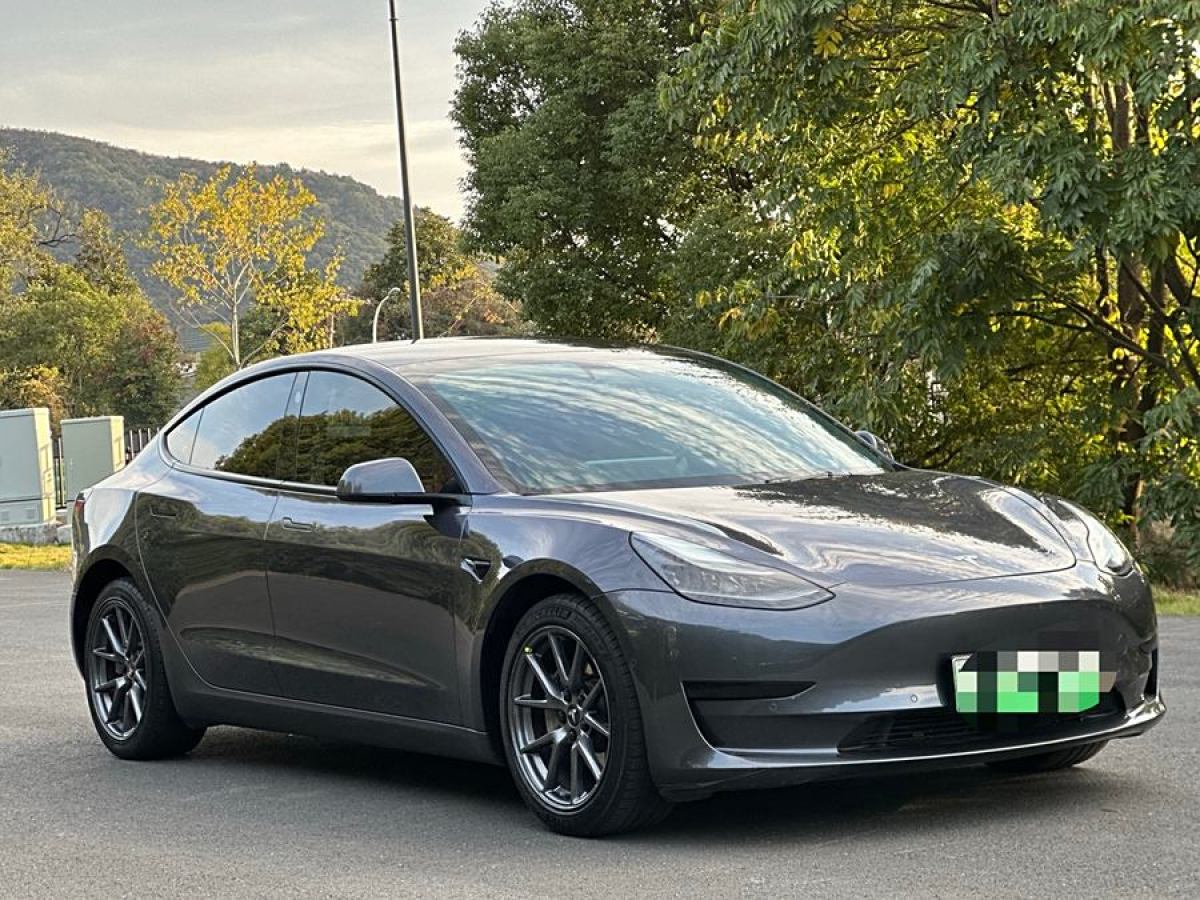 特斯拉 Model 3  2021款 改款 標(biāo)準(zhǔn)續(xù)航后驅(qū)升級(jí)版圖片