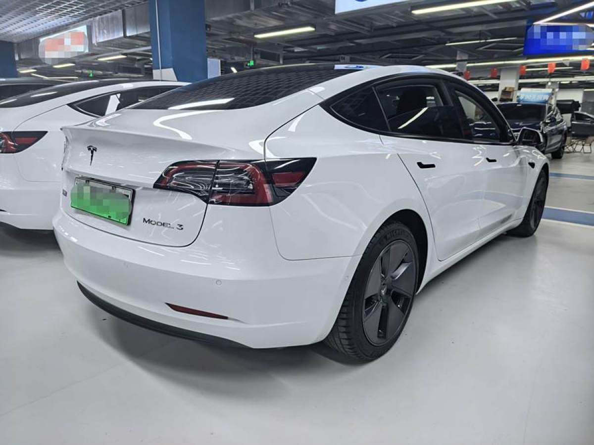 特斯拉 Model 3  2021款 改款 標(biāo)準(zhǔn)續(xù)航后驅(qū)升級(jí)版圖片