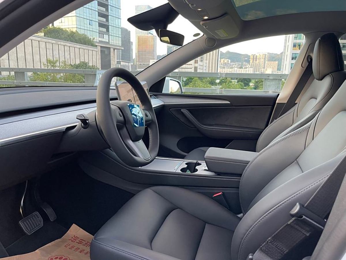 特斯拉 Model Y  2020款 改款 長續(xù)航后輪驅(qū)動版圖片