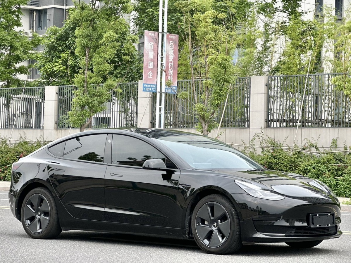 特斯拉 Model 3  2021款 標(biāo)準(zhǔn)續(xù)航后驅(qū)升級版 3D6圖片