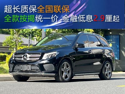 2019年3月 奔馳 奔馳GLE(進(jìn)口) GLE 400 4MATIC 臻藏版圖片