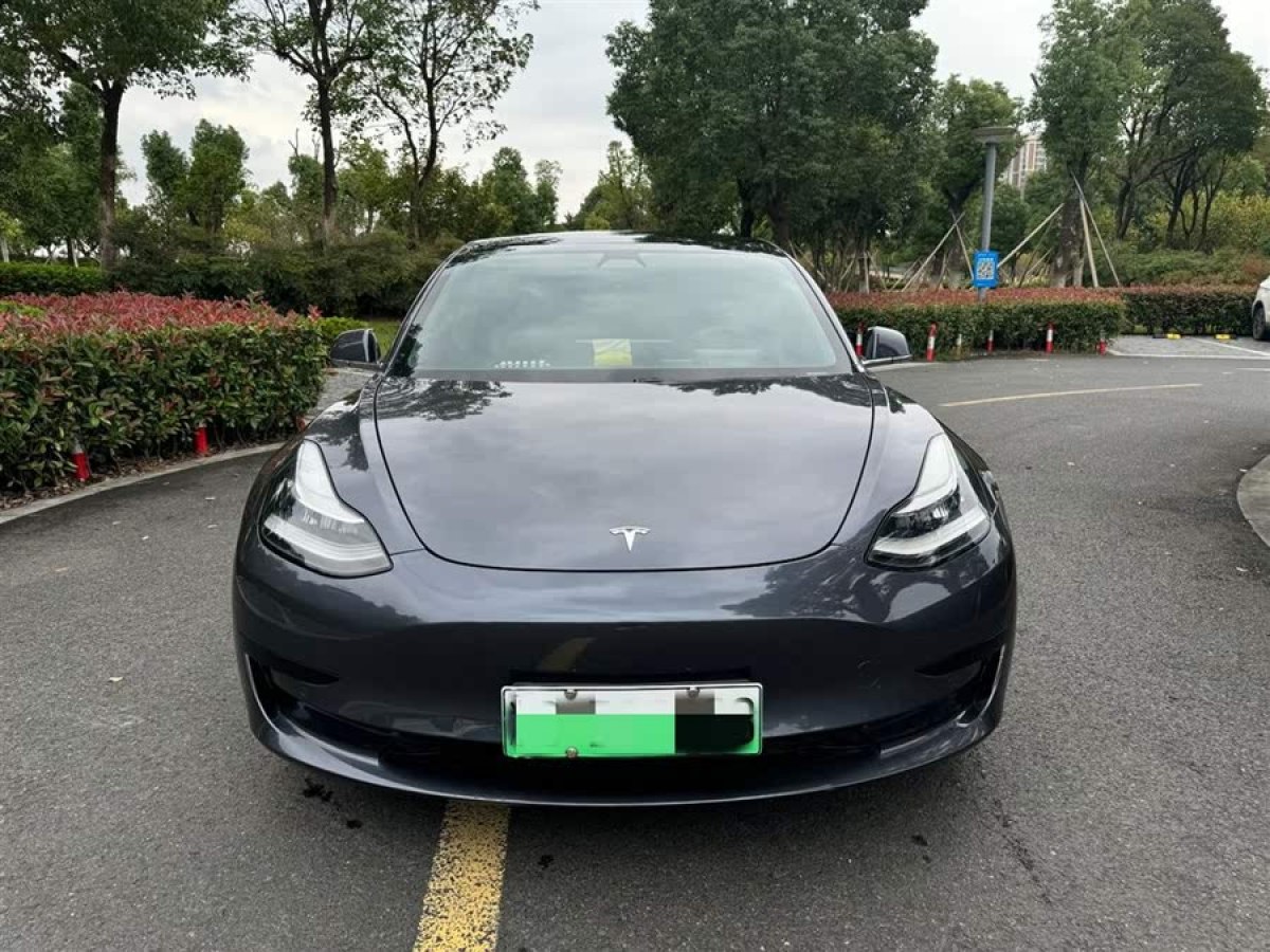 特斯拉 Model 3  2019款 標(biāo)準(zhǔn)續(xù)航后驅(qū)升級版圖片