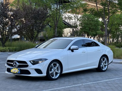 2019年9月 奔驰 奔驰CLS级(进口) CLS 300 动感型图片